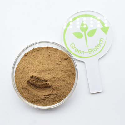 Fabricação Fornecer 100% Dendrobium Extract Orchid Extract Powder
