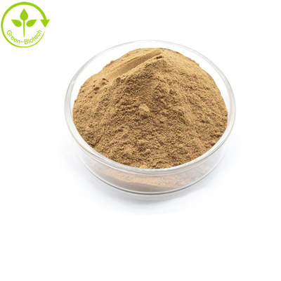 Fornecimento a retalho Dendrobium Extract Powder 10:1 Com Alta Qualidade
