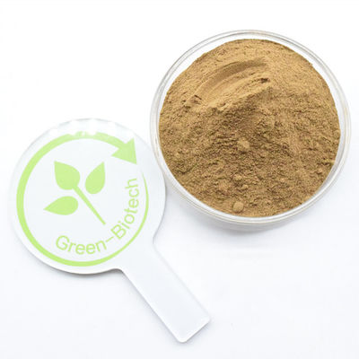 Dendrobina em pó de extrato de Dendrobium natural puro e de alta qualidade