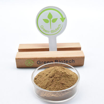 Dendrobina em pó de extrato de Dendrobium natural puro e de alta qualidade