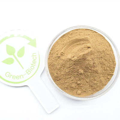 Venda a quente 10:1 Dendrobium officinale extracto em pó orgânico