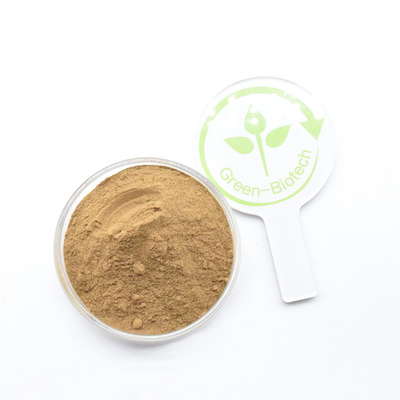 Fabricante Fornecimento direto de Dendrobium Dendrobium Extract em pó amarelo-marrom