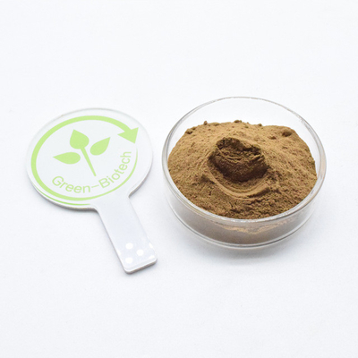 Grau alimentício 100% natural 10:1 5:1 20:1 Dendrobium Extract Powder