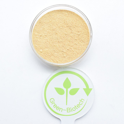Beta-Ecdysterona natural em pó Ecdysterona 98% Cyanotis Arachnoidea Extract 90% Ecdysone