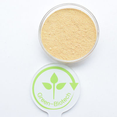 HPLC 90% Cyanotis Arachnoidea Extract Beta Ecdysterone em pó Hidroxiecdisona