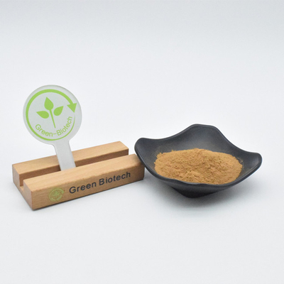 Fornecimento de fábrica Extractos vegetais naturais de alta qualidade Extracto de Maca em pó amarelo-marrom