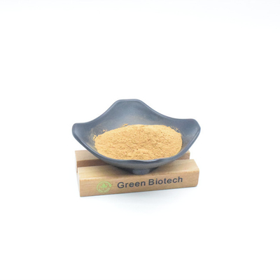 Extractos de plantas naturais por atacado Melhor preço Maca extracto em pó para tratamento do cabelo
