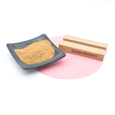 Extractos Naturais de Plantas Produtos Quentes Extracto Natural de Maca em Pó Para Homens