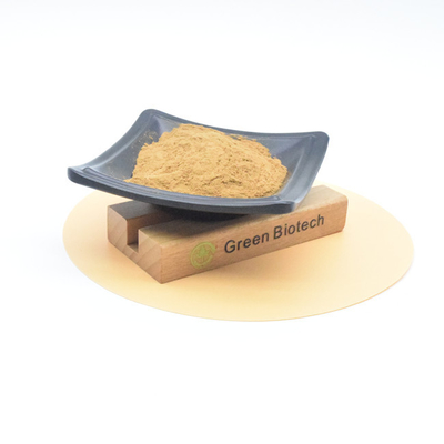 Extracto de planta de Maca Extracto de raiz de maca em pó Suplemento de aumento de energia para homens
