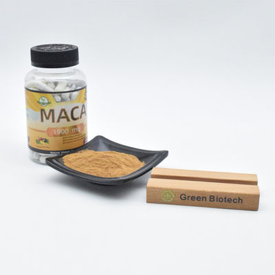 Venda direta de fábrica Maca extracto em pó melhora a função masculina