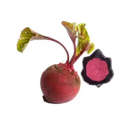 Produtos mais vendidos Beterraba Raiz de Beterraba Pó de Raiz de Beterraba Suco de Beterraba em Pó