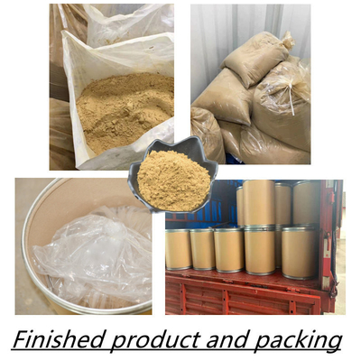 80 Mesh Ginseng Root Extract Powder 1%-80% extratos naturais da planta