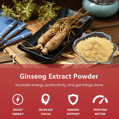 80 Mesh Ginseng Root Extract Powder 1%-80% extratos naturais da planta