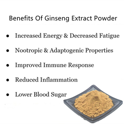 80 Mesh Ginseng Root Extract Powder 1%-80% extratos naturais da planta