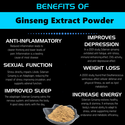 80 Mesh Ginseng Root Extract Powder 1%-80% extratos naturais da planta
