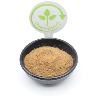 O extrato da planta do pó do extrato de Turkestanica do Ajuga do body building pulveriza 500mg 750mg 1000mg