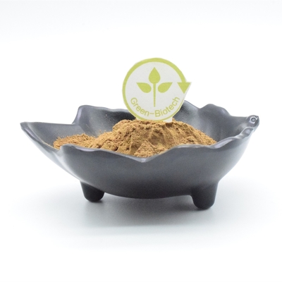 O extrato da planta do pó do extrato de Turkestanica do Ajuga do body building pulveriza 500mg 750mg 1000mg