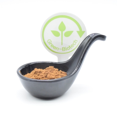 Os esportes suplementam o halterofilismo o mais turkest 2% 250mg 350mg 500mg do extrato do Ajuga
