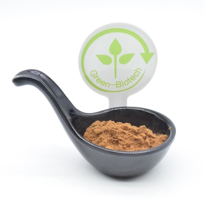 Os esportes suplementam o halterofilismo o mais turkest 2% 250mg 350mg 500mg do extrato do Ajuga