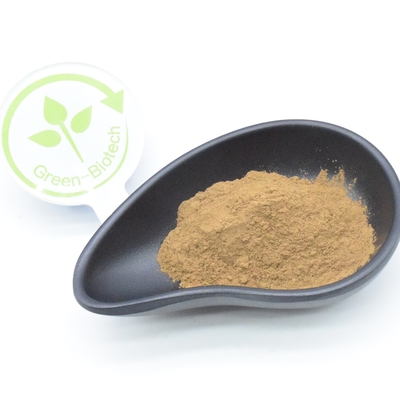 O extrato natural da planta de 2% Turkesterone pulveriza anti diurético eficaz fungoso