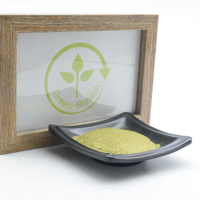 A planta natural do pó orgânico cerimonial de Matcha extrai o anti oxidante
