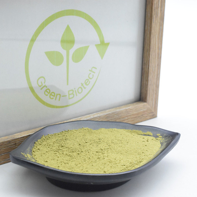 A planta natural de MSDS extrai o pó do chá de Uji Matcha com Rich Umami Taste
