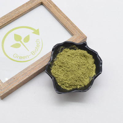 A planta natural do pó orgânico cerimonial de Matcha extrai o anti oxidante